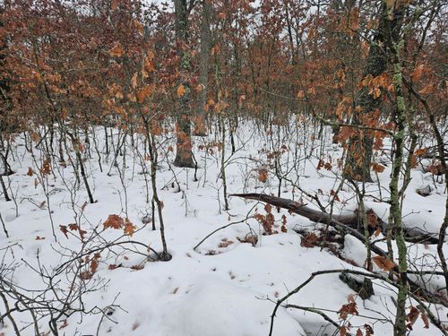 1013 W Oliver St, Baldwin, MI, 49304 | Card Image