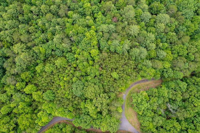 Lot 1 Mirandi Dr, Home with 0 bedrooms, 0 bathrooms and null parking in Warne NC | Image 6