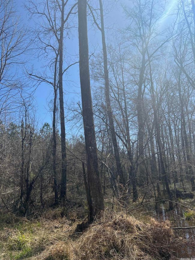 00 Nevada County 175 Road, Home with 0 bedrooms, 0 bathrooms and null parking in Rosston AR | Image 8
