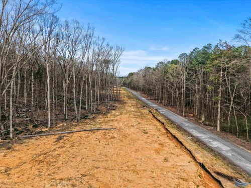 900-B Lot 4 County Road 114, Scottsboro, AL, 35769 | Card Image