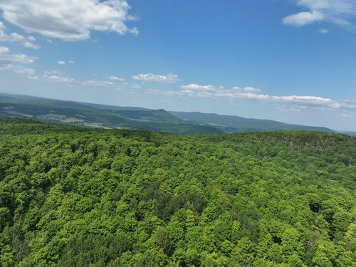 224 Paradise Ln, West Charleston, VT, 05872 | Card Image