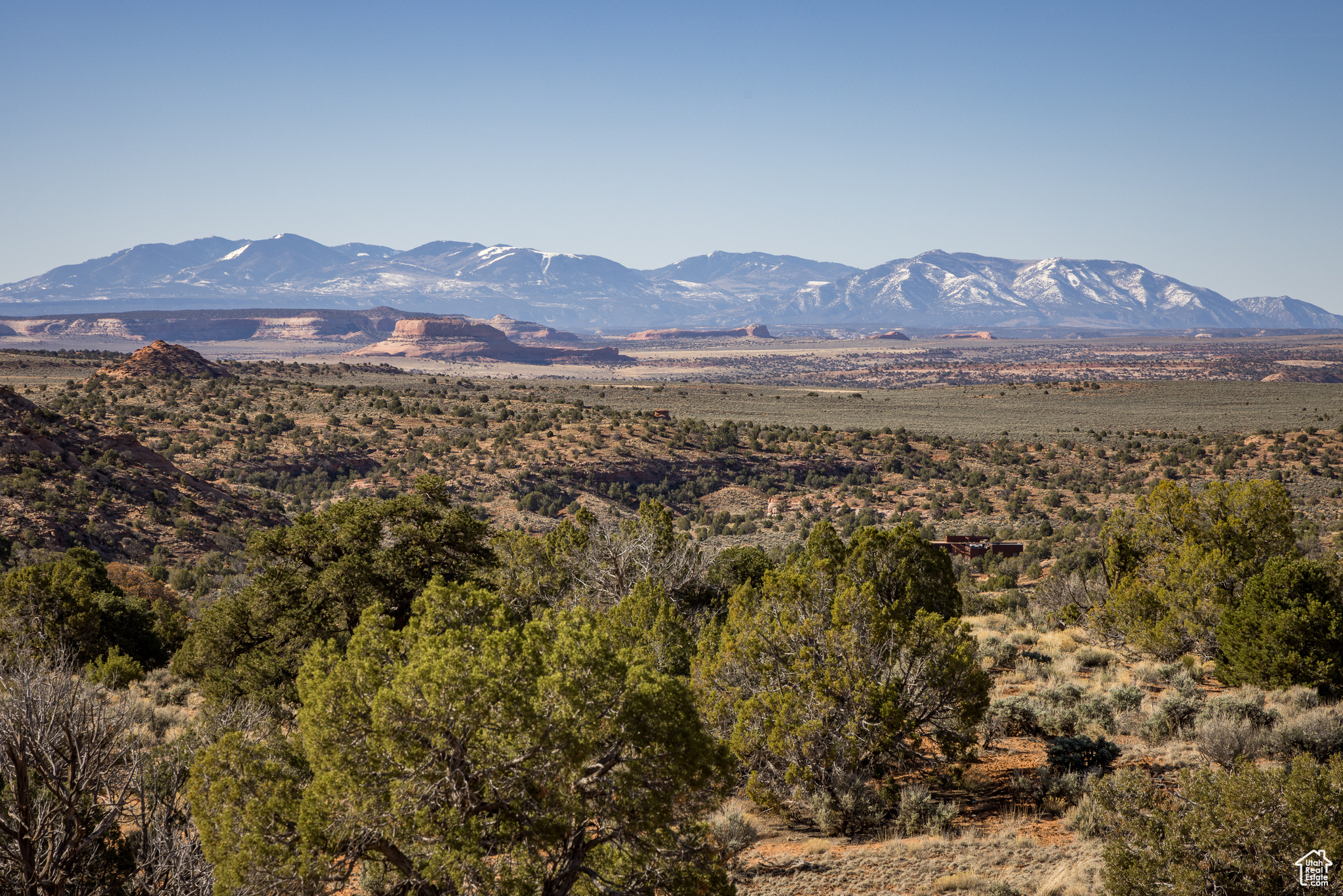 Land in Moab 3