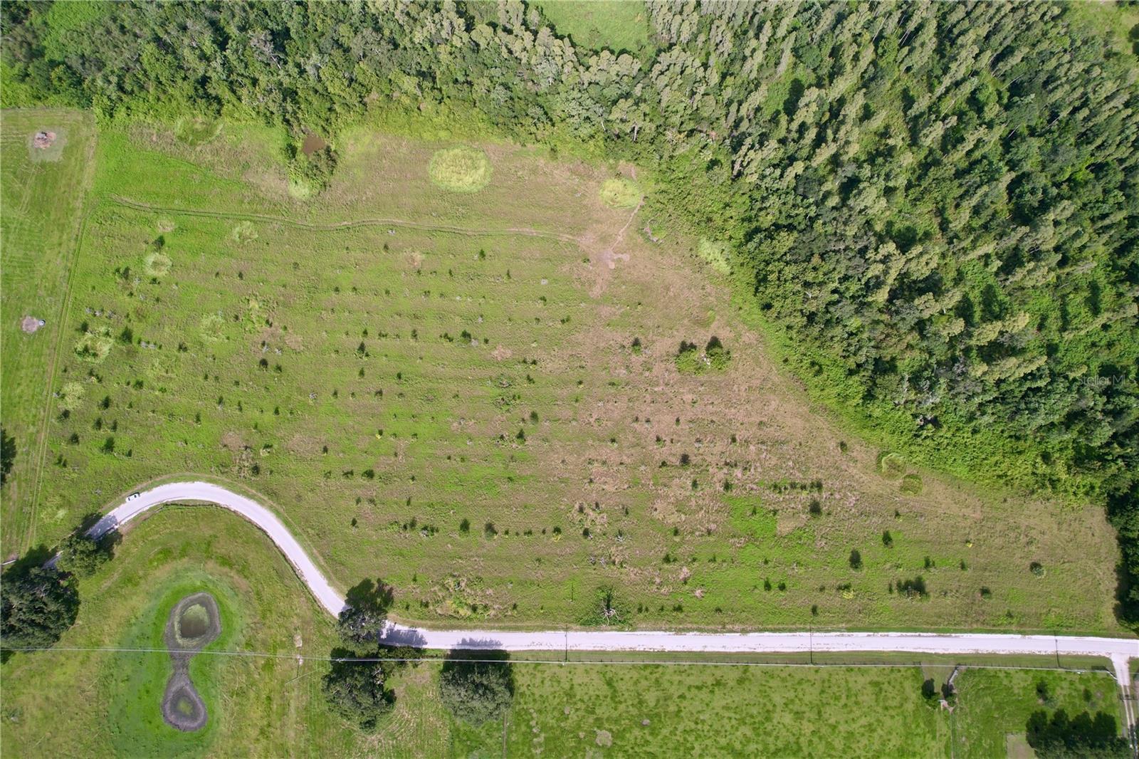 Land in LAKELAND 5