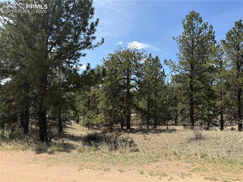 99 Cheyenne Way, Florissant, CO, 80816-9469 | Card Image