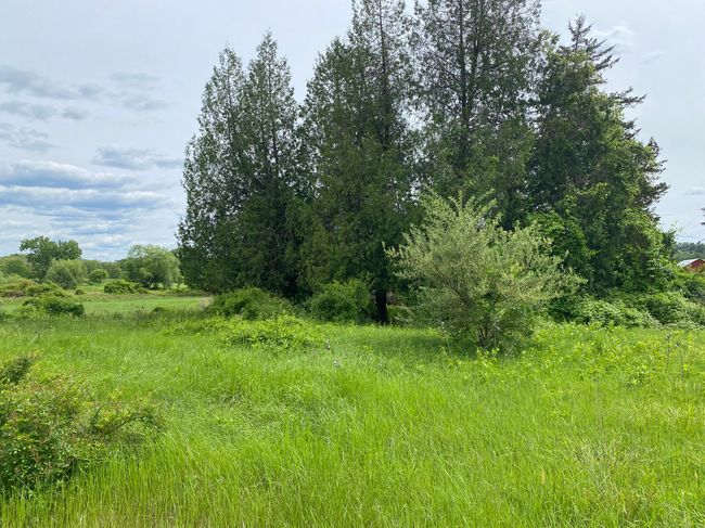 151 Sand Rd, Home with 0 bedrooms, 0 bathrooms and null parking in Canaan CT | Image 9