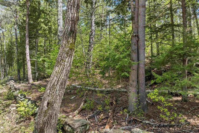 0 Stone Rd, Home with 0 bedrooms, 0 bathrooms and null parking in Gilmanton NH | Image 5