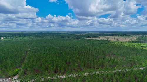 20 AC Owens Rd, Odum, GA, 31555 | Card Image