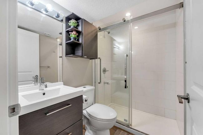 201 Skyview Springs Crescent Ne, House other with 6 bedrooms, 4 bathrooms and 2 parking in Calgary AB | Image 26