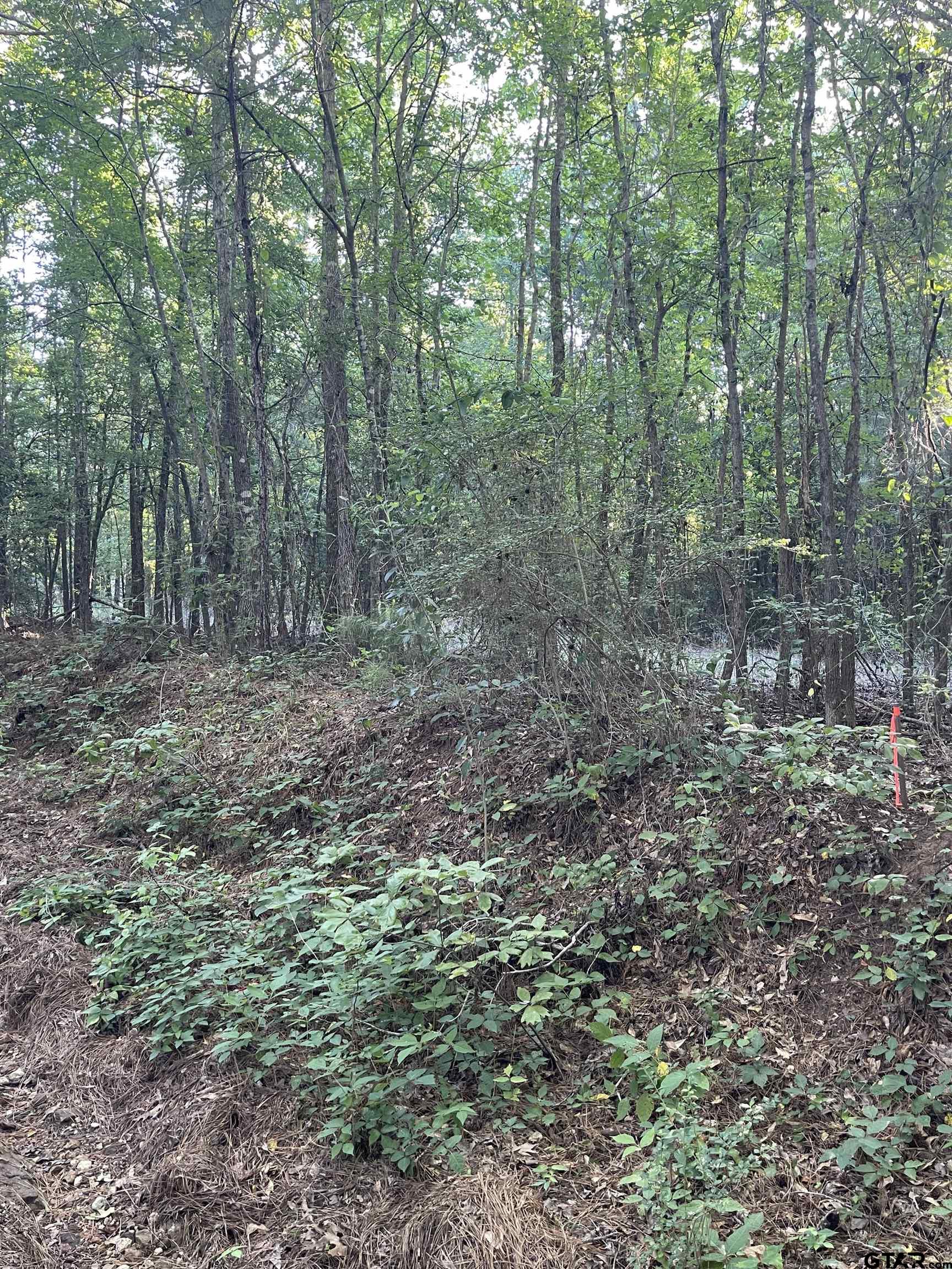 Land in Troup 3