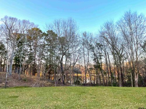 17961 Gordons Landing Rd, Arp, TX, 75750-4643 | Card Image