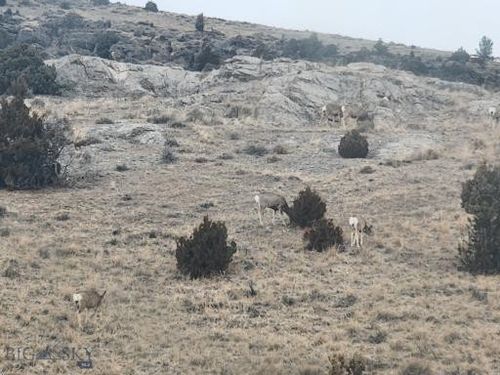 TBD Bradley Creek Rd, Norris, MT, 59745 | Card Image
