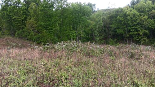 7-acre-tract-0 Hampton Hollow Rd, Langsville, OH, 45741 | Card Image