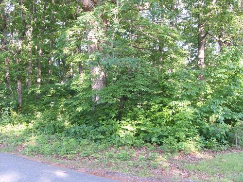 5-773 Priddy St, Keysville, VA, 23947 | Card Image