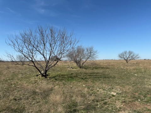Land in Hamilton 4
