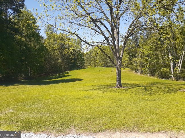 1368 Wash Brown Dr, Home with 0 bedrooms, 0 bathrooms and null parking in Elberton GA | Image 22