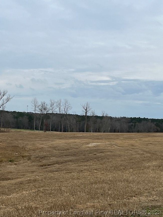 LOT-2 - Key Road Road, Home with 0 bedrooms, 0 bathrooms and null parking in Sanford NC | Image 3