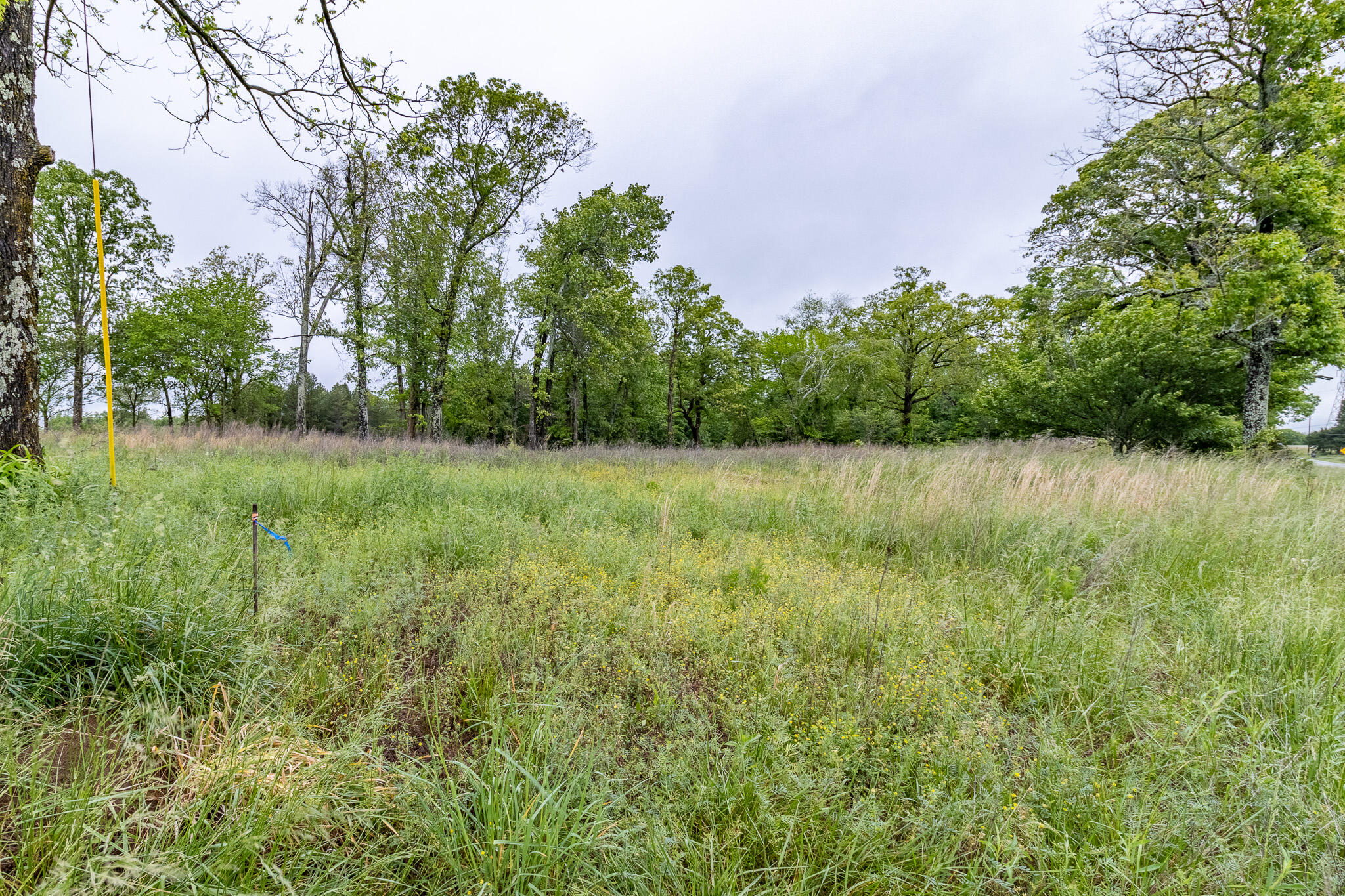 Land in Trenton 2