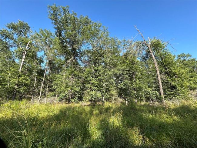 35 Sw Commerce St, Home with 0 bedrooms, 0 bathrooms and null parking in Lovelady TX | Image 4