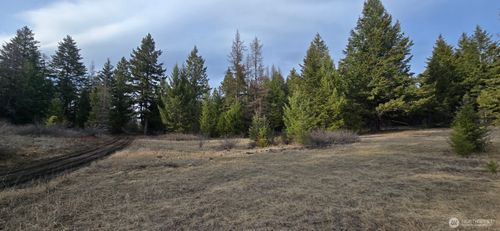 99 Prior Loop Road, Oroville, WA, 98844 | Card Image