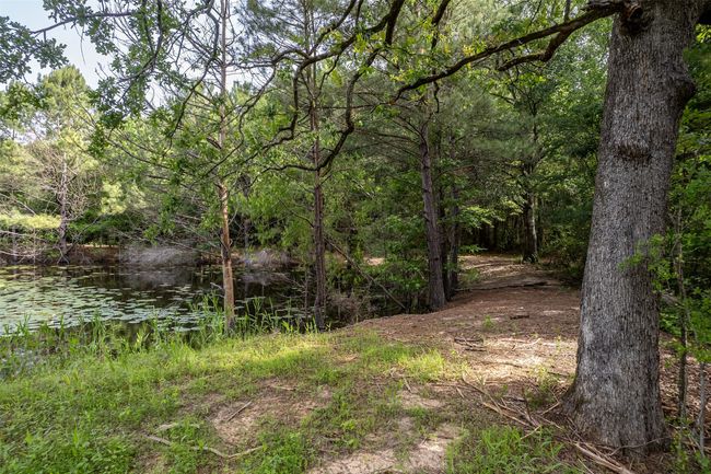 0 Johnson Rd, Home with 0 bedrooms, 0 bathrooms and null parking in Winona TX | Image 11
