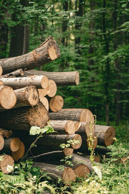 0 N Coonhunters Rd, Batesville, IN, 47006 | Card Image