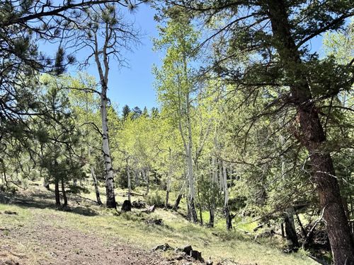 TBD Dilley Rd, Westcliffe, CO, 81252 | Card Image