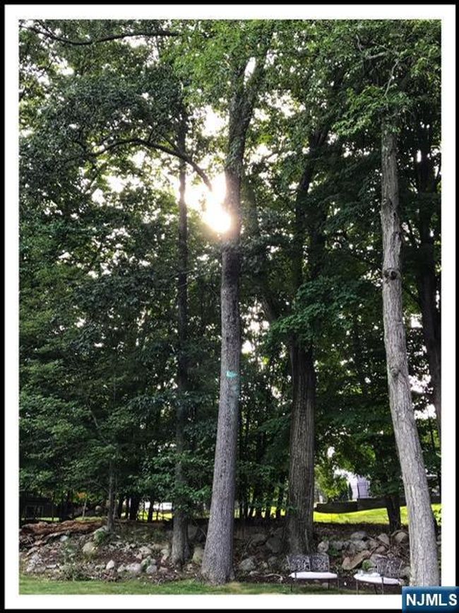 37 Osborne Ct, House other with 4 bedrooms, 3 bathrooms and null parking in Mahwah NJ | Image 46