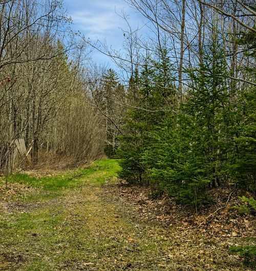 00 Kinstone Lane, Trenton, ME, 04605 | Card Image