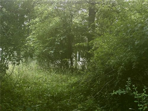 0 Wells Lock Rd, Elizabeth, WV, 26143 | Card Image