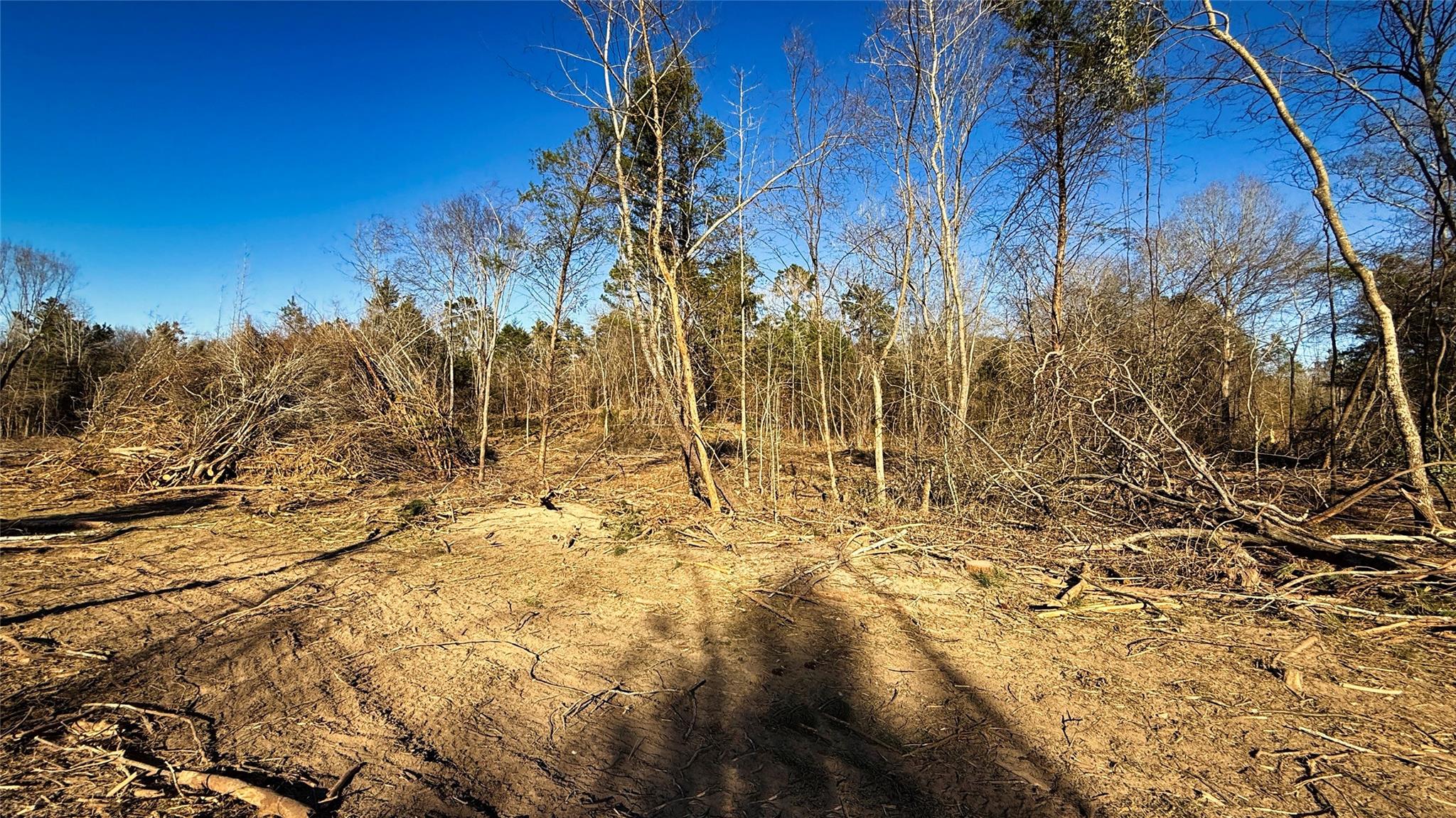 Land in Henderson 3