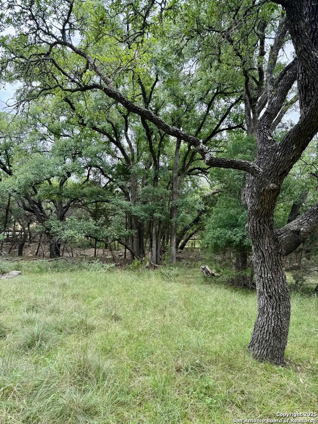 1187 Long Meadow, Home with 0 bedrooms, 0 bathrooms and null parking in Spring Branch TX | Image 15