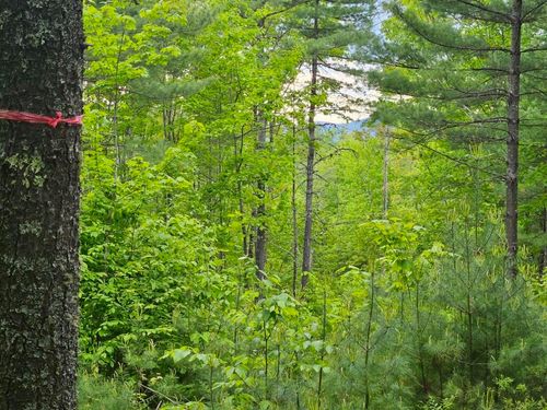 1044 Mountain View Road, Fryeburg, ME, 04037 | Card Image