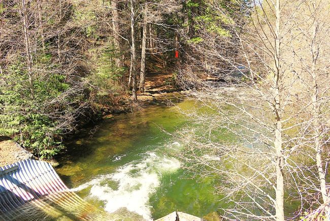 0 Forest Route 7 N42, House other with 1 bedrooms, 1 bathrooms and null parking in West Point CA | Image 20
