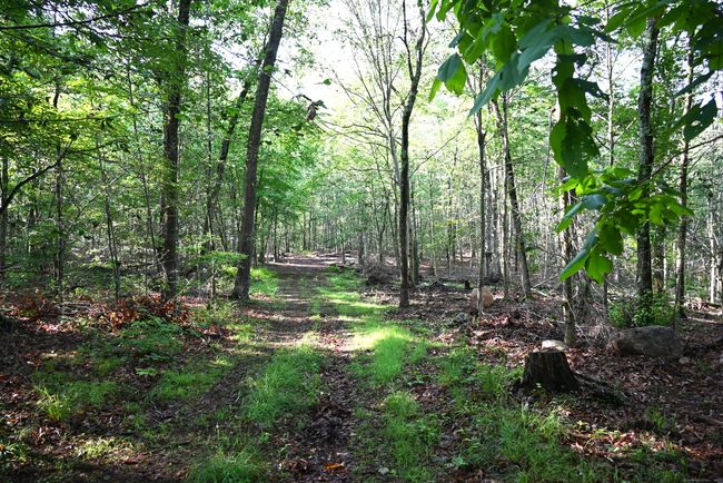 62-14, 15, 16 Middlesex Turnpike, Home with 0 bedrooms, 0 bathrooms and null parking in Old Saybrook CT | Image 10
