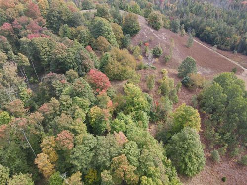 80 a Ridgeview, Rapid River Township, MI, 49646 | Card Image