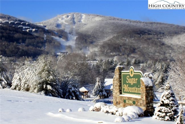 Sugar is a winter wonderland. Learn more at www.skisuar.com. | Image 47