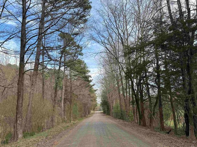 58 Trails End Ln, House other with 3 bedrooms, 2 bathrooms and null parking in Mount Ida AR | Image 42