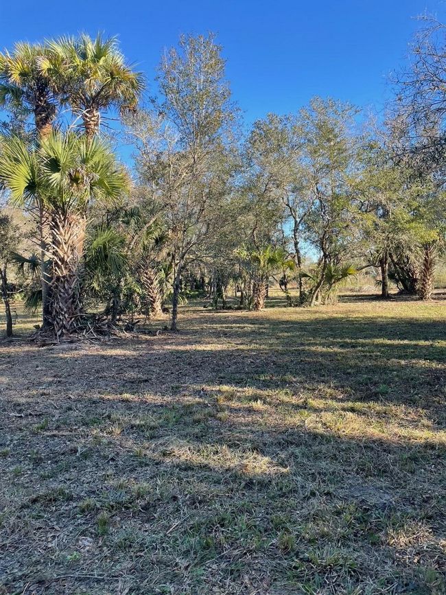 15936 306 Th St, Home with 0 bedrooms, 0 bathrooms and null parking in Okeechobee FL | Image 18