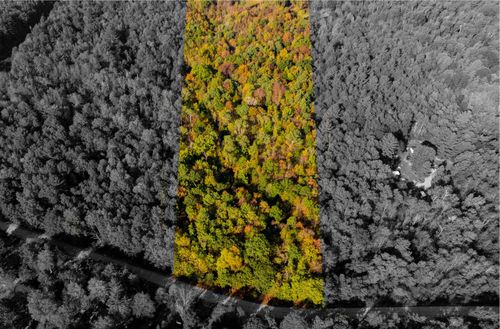 V/L Rivers Terrace Road, Secord Township, MI, 48624 | Card Image