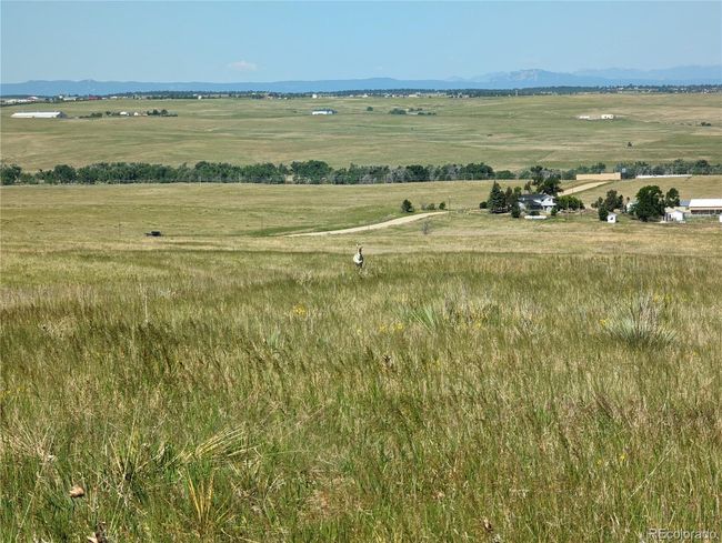 4 County Road 142, Home with 0 bedrooms, 0 bathrooms and null parking in Kiowa CO | Image 11