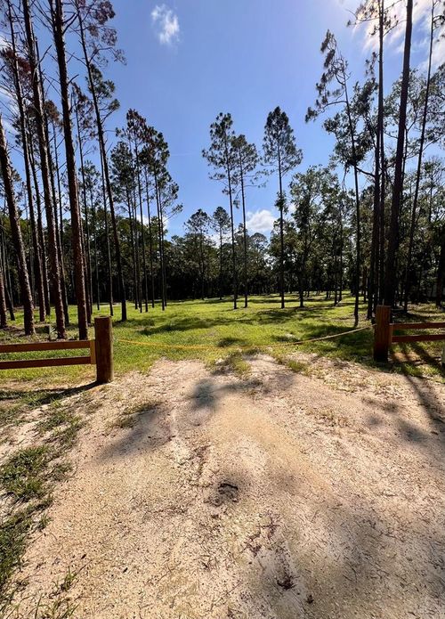 00 Ne Webb Ln, Steinhatchee, FL, 32359 | Card Image