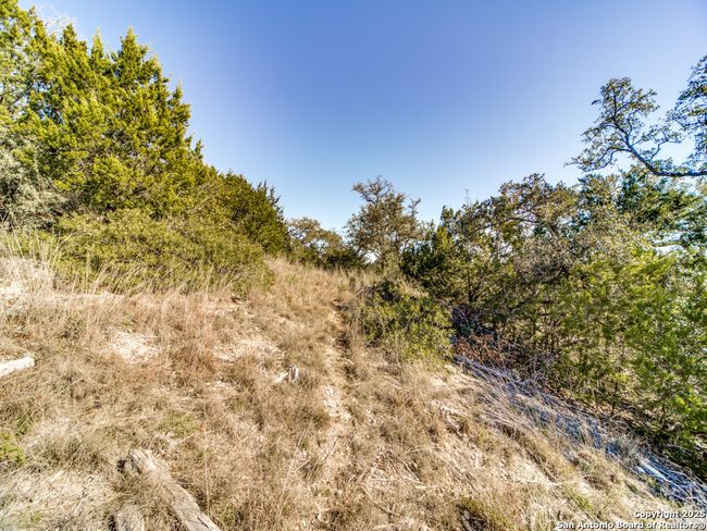 23103 Stallion Rdg, Home with 0 bedrooms, 0 bathrooms and null parking in San Antonio TX | Image 12