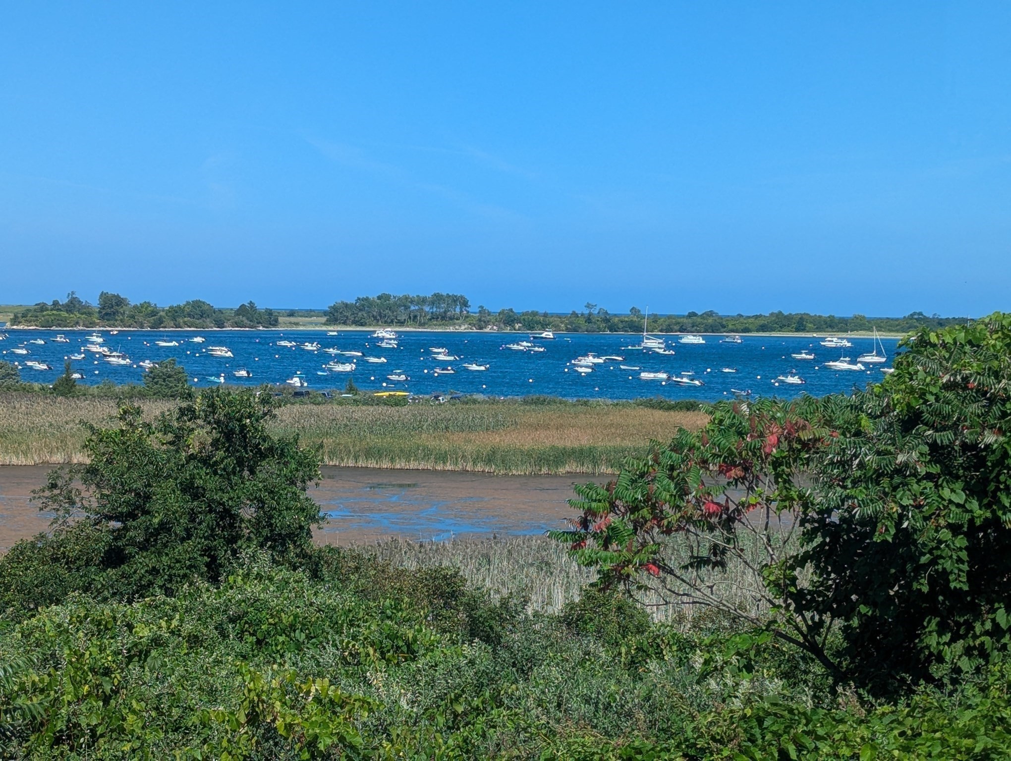 Residential Lease in Ipswich 3