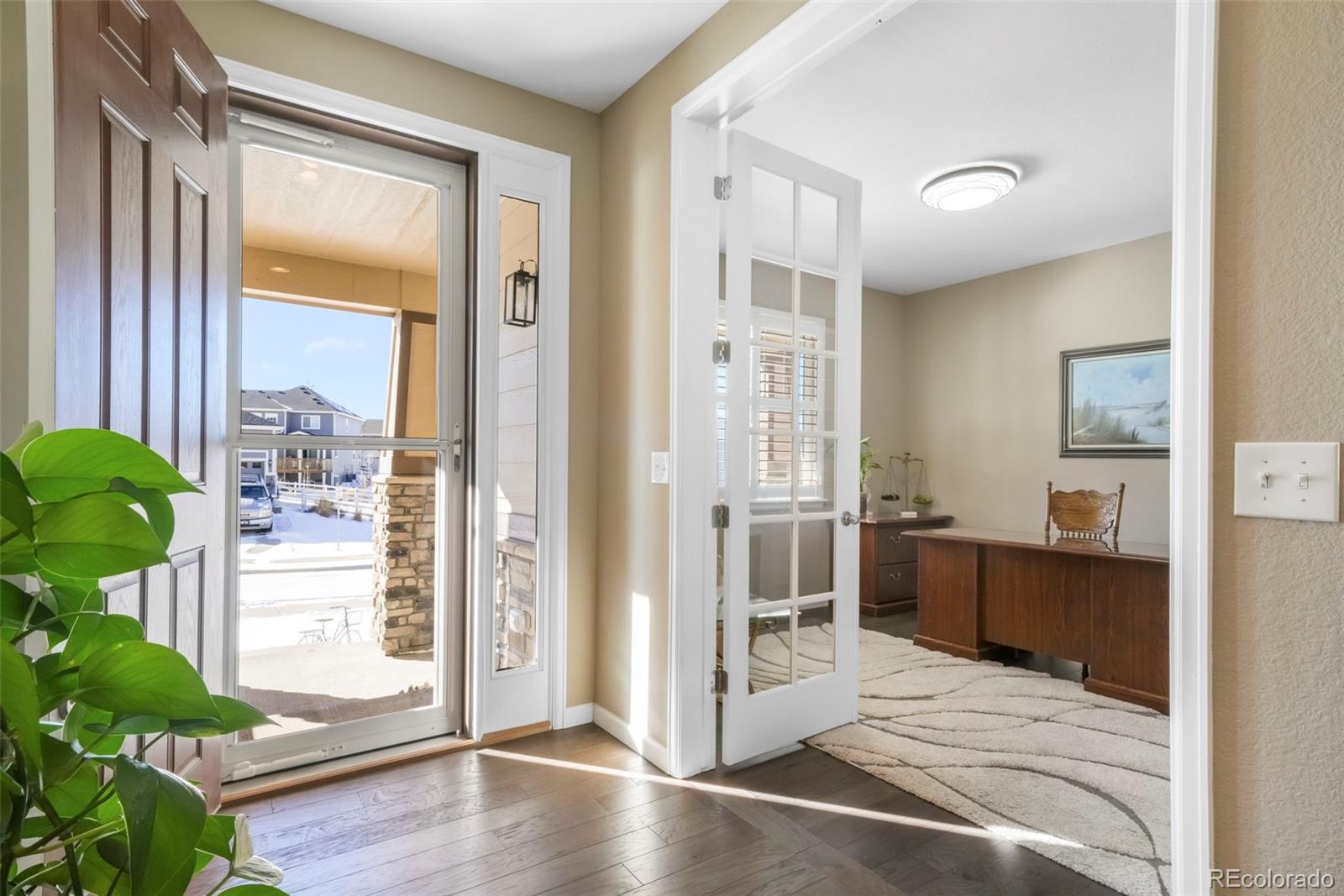 Residential in Castle Rock 5