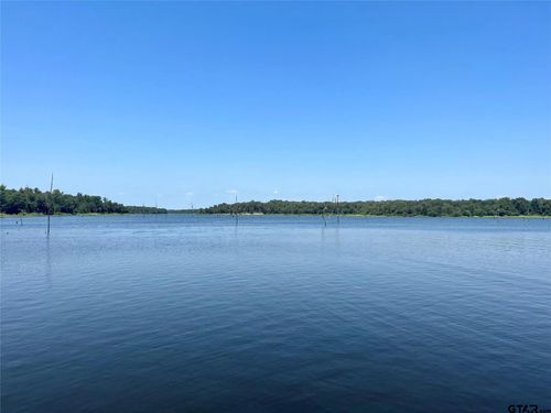 1 Angler Shores Drive, Yantis, TX, 75497 | Card Image