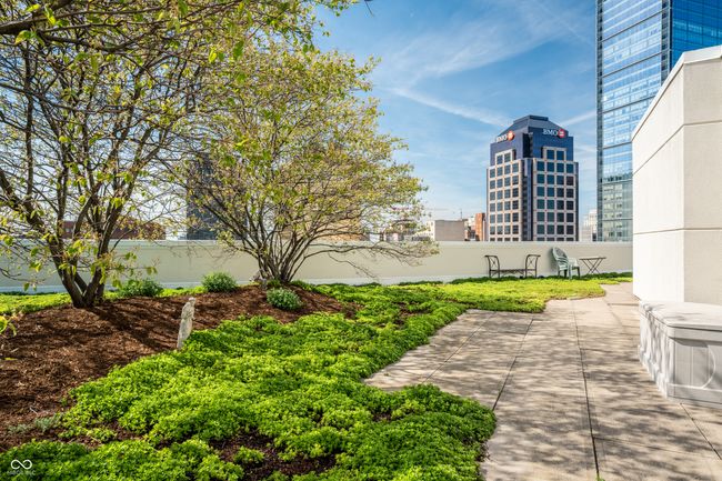 Rooftop | Image 38