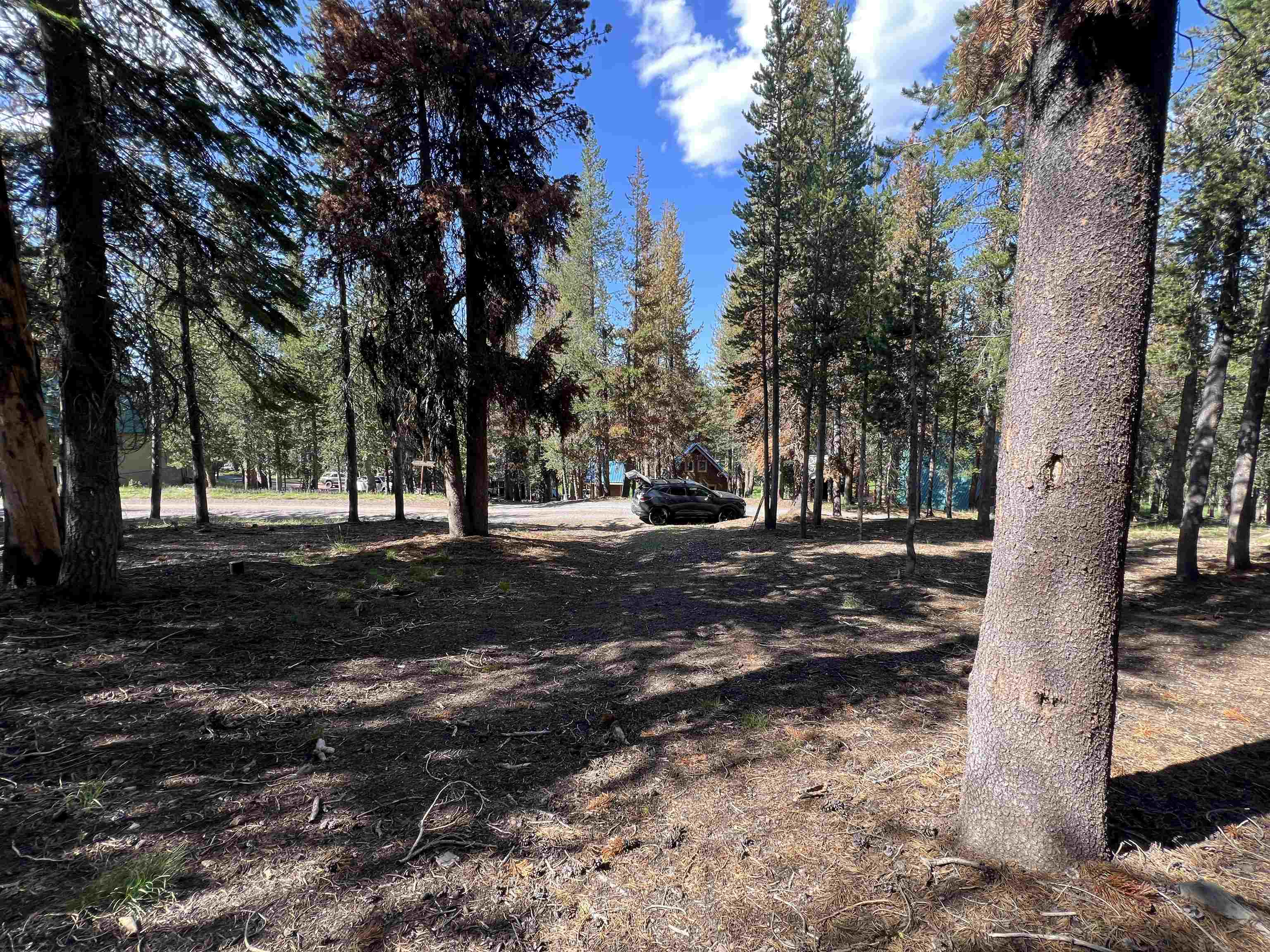 Land in McCloud 2
