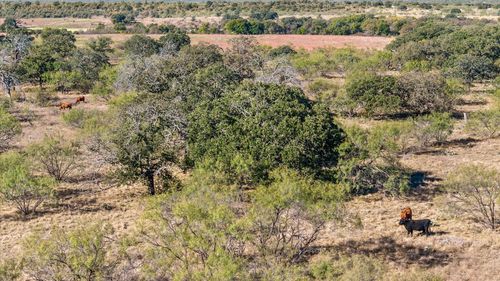 TBD Berry Dairy Rd, Bryson, TX, 76427 | Card Image