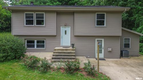 18196/18200 River Road, Danvers, IL, 61732 | Card Image
