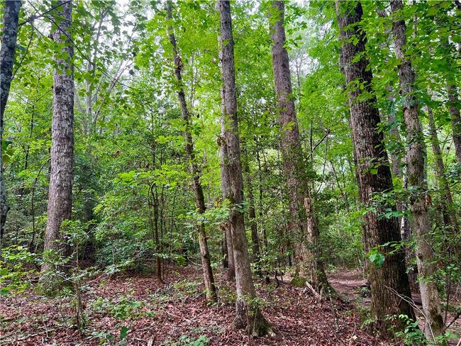 0 N Old Pendleton Rd, Home with 0 bedrooms, 0 bathrooms and null parking in Easley SC | Image 10